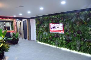 a green wall in a hallway with plants at Safir Hotels Silivri in Silivri