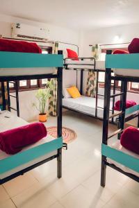 a room with bunk beds in a hostel at Hostel Nirvana in Udaipur