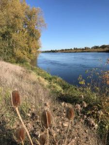 Fotografia z galérie ubytovania Nid Carmin v destinácii Suèvres