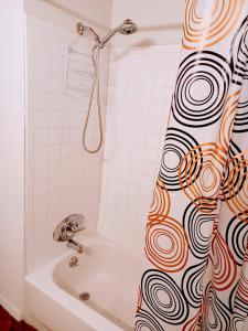 uma cortina de chuveiro na casa de banho com banheira em Detroit Riverwalk Loft em Detroit