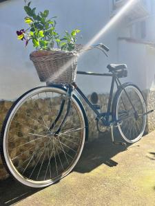 rower z koszem i doniczką w obiekcie Villa il Cacciatore w Sorrento