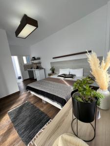 a bedroom with a bed and a potted plant at Fatolitis Studios in Masouri