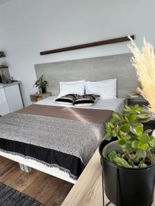 a bedroom with a large bed and a potted plant at Fatolitis Studios in Masouri