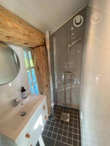 a bathroom with a shower and a sink at Minihus med drømmeutsikt til Sunnmørsalpene in Aure