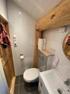 a small bathroom with a toilet and a sink at Minihus med drømmeutsikt til Sunnmørsalpene in Aure
