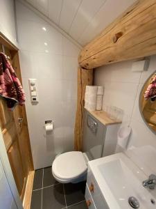 Koupelna v ubytování Minihus med drømmeutsikt til Sunnmørsalpene