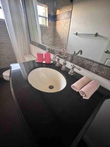 a bathroom with a sink and a mirror at Ft Lauderdale Jewel in Fort Lauderdale