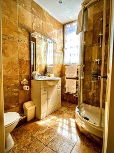 y baño con aseo, lavabo y ducha. en La Lanterne Chambres d'Hotes, en Sarlat-la-Canéda