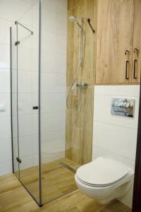 a bathroom with a toilet and a glass shower at Place4You in Ostróda