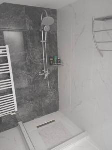 bagno con doccia e porta in vetro di Izabella Guest House a Săcele
