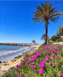 einen Strand mit rosa Blumen und einer Palme in der Unterkunft Ladrillo, apartment by the sea, Santa Pola in Santa Pola