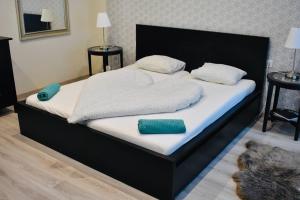1 dormitorio con 1 cama con 2 almohadas en Scarbantia Casa, en Sopron