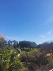 a view of a field with trees in the distance at Villa Rosa in Latte