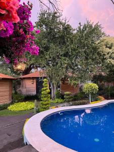una piscina en un patio con árboles y flores en Villa Armonia Hotel & Spa, en Jocotepec