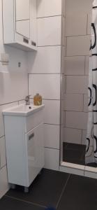 y baño blanco con lavabo y ducha. en Apartment Schlössel 24, en Viena