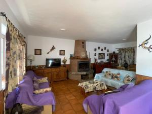 アラセナにあるCasa rural la Galvanaの紫色のソファと暖炉付きのリビングルーム