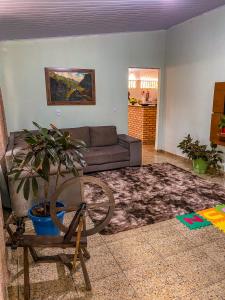 een woonkamer met een bank en een plant bij Espaço Monjolo in Barra do Garças