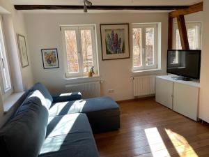 TV a/nebo společenská místnost v ubytování Haus Aurelia