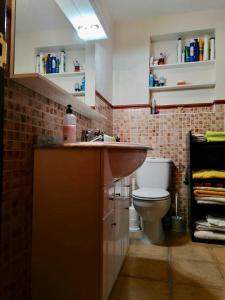 bagno con lavandino e servizi igienici di Casa el Acebuche a Cazorla