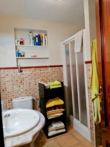 a bathroom with a sink and a shower and a toilet at Casa el Acebuche in Cazorla