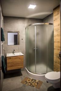 uma casa de banho com um chuveiro, um lavatório e um WC. em Viva Noclegi em Bielsko-Biala