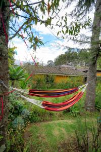 a hammock hanging from a tree in a garden at Kinti Wasi Casa de Campo in Los Baños del Inca