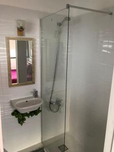 un bagno con doccia, lavandino e specchio di BELVEDERE SUITE a Faro