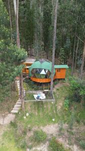 a tent in the middle of a forest at Libélula Glamping con jacuzzi in Duitama