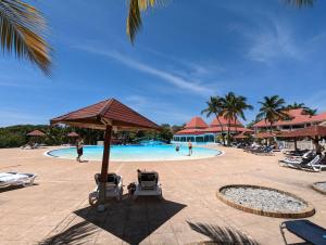- une piscine dans un complexe avec des chaises et des palmiers dans l'établissement Le Laïlana, à Sainte-Anne
