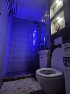 ein Badezimmer mit einem weißen WC und einer Dusche in der Unterkunft Apartment Melli in Sarajevo