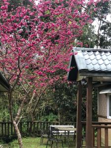 een boom met roze bloemen naast een picknicktafel bij 蓬萊生態農場仙山民宿 in Nanzhuang