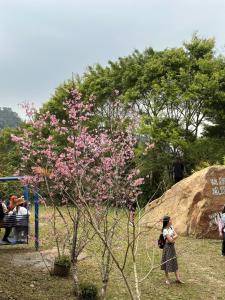入住蓬萊生態農場仙山民宿的客人