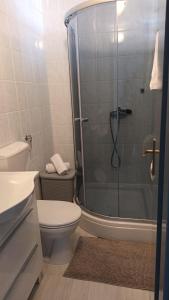 uma casa de banho com um chuveiro, um WC e um lavatório. em Apartment Povljana 224b em Povljana