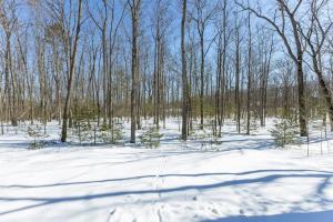 *4BR 2BA N Shore Hidden Retreat* v zimě