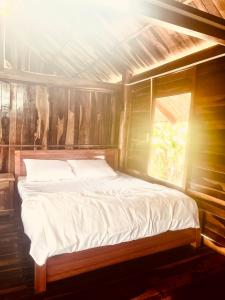 Bett in einem Holzzimmer mit Fenster in der Unterkunft Thông Garden - Lộc Đức in Bảo Lộc