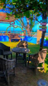 um grupo de cadeiras, uma mesa e uma árvore em Restaurante & Pousada Portal dos Ventos em Icapuí