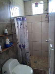 La salle de bains est pourvue de toilettes et d'une douche avec rideau de douche. dans l'établissement PaCasa Hostel, à David