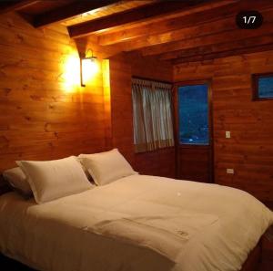ein Schlafzimmer mit einem großen Bett in einem Blockhaus in der Unterkunft Villa Rosario in Aquitania