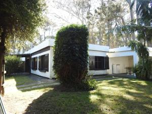 una casa blanca con un arbusto en el patio en Verano, en Punta del Este