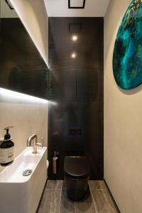 uma casa de banho com um WC e um lavatório em Ivy Box Art Gallery Apartment em Queenstown