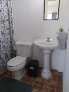 a bathroom with a white toilet and a sink at Hermosa casa Tequis en Tequisquiapan in Tequisquiapan