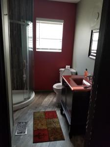 a bathroom with a shower and a toilet and a sink at Elisha in St Petersburg