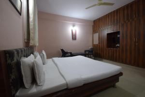 a bedroom with a bed and a television in it at Shreenath JI inn in Udaipur