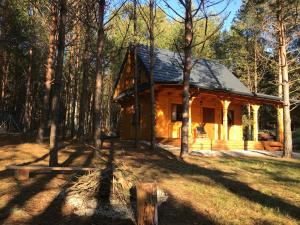 uma cabana de madeira na floresta com árvores em FoRest Inn em Trzepieciny