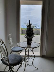 a table with a potted plant on it in front of a window at "Suite 19" in Tavullia