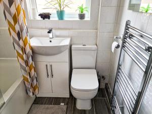 La petite salle de bains est pourvue de toilettes et d'un lavabo. dans l'établissement The Navarone Blue Orchid Flat, à Londres