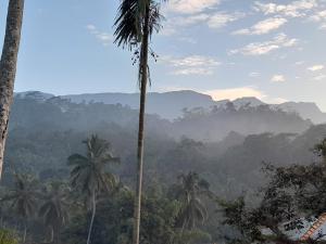 uma vista para uma selva com palmeiras e montanhas em Panorama Holiday inn-Pelmadulla em Ratnapura