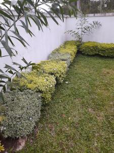 Gallery image of Panorama Holiday inn-Pelmadulla in Ratnapura +3 photos