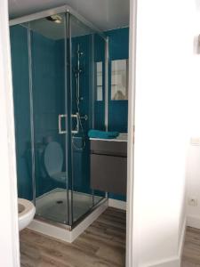 a bathroom with a glass shower and a toilet at Les Gones en Vendée in Saint-Gervais