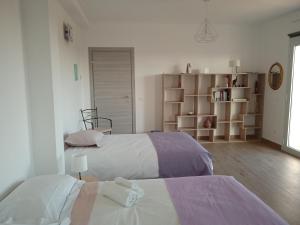 ein Schlafzimmer mit 2 Betten und einem Bücherregal in der Unterkunft Agriturismo Il cielo in terra in SantʼOreste